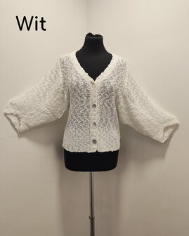 Vest 005 wit