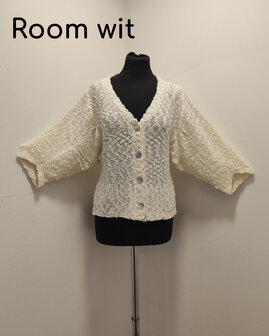 Vest 005 room wit