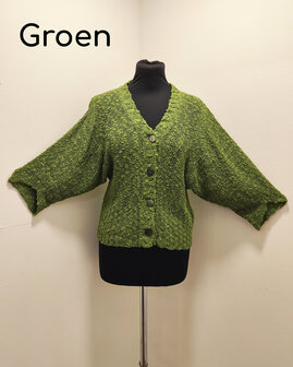 Vest 005 groen