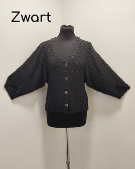 Vest 005 zwart