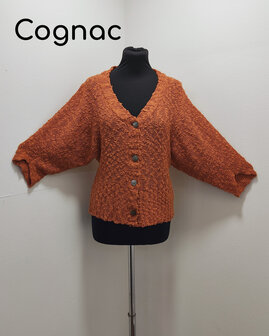 Vest 005 cognac