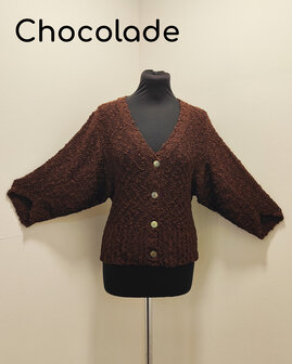 Vest 005 chocolade