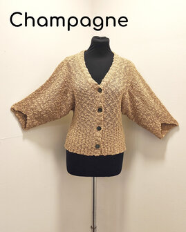 Vest 005 champagne