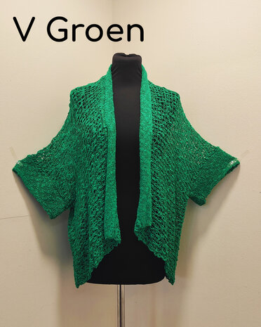 Vest Anne v.groen